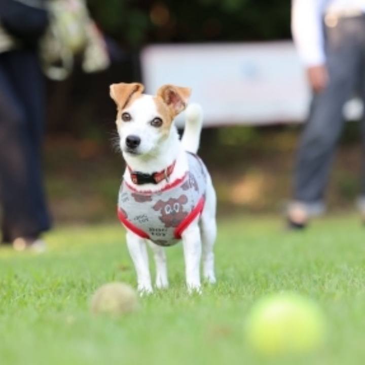 F321c16e 4696 45eb bff2 edf3d1c73ad3 1633601318440