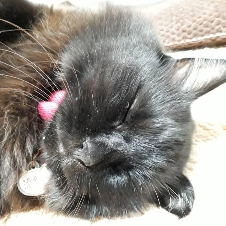 F321c9f0 ab83 480d ba18 5758376a0a1c 1542448897396