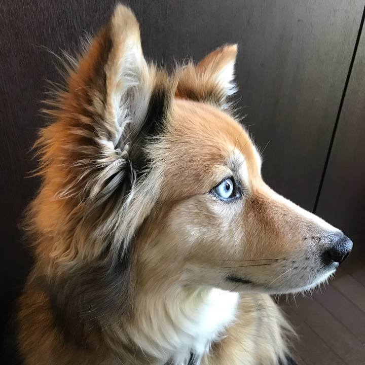 F3221adc b46f 42df 85ef 9f28b38ed113 1524273744660