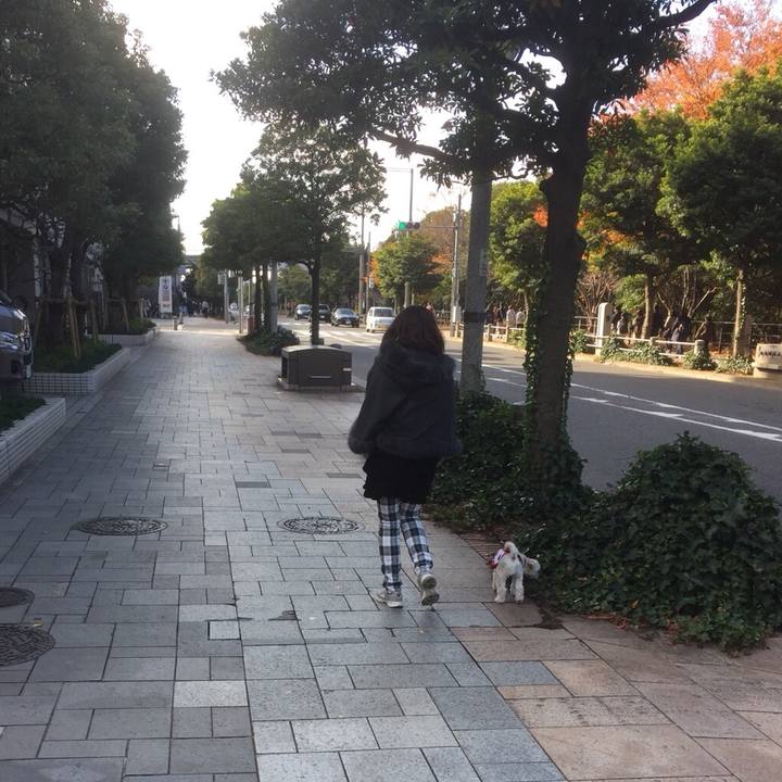 F3222bfb 4c74 41b5 a13d 2ba8db23e2b1 1512215538754