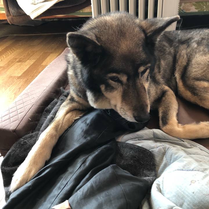 F3224abd 9941 4c3e bb79 82eb34c58d22 1550381029297