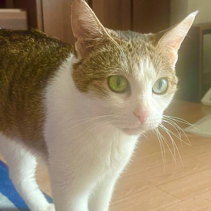 F3225b61 962b 469f 911a a6b8c636e593 1634252761742