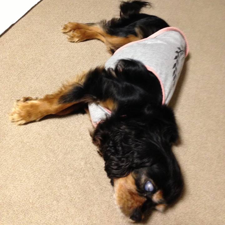 F322606a 18c6 4e1f b7e7 8b0ff251661e 1598437284124