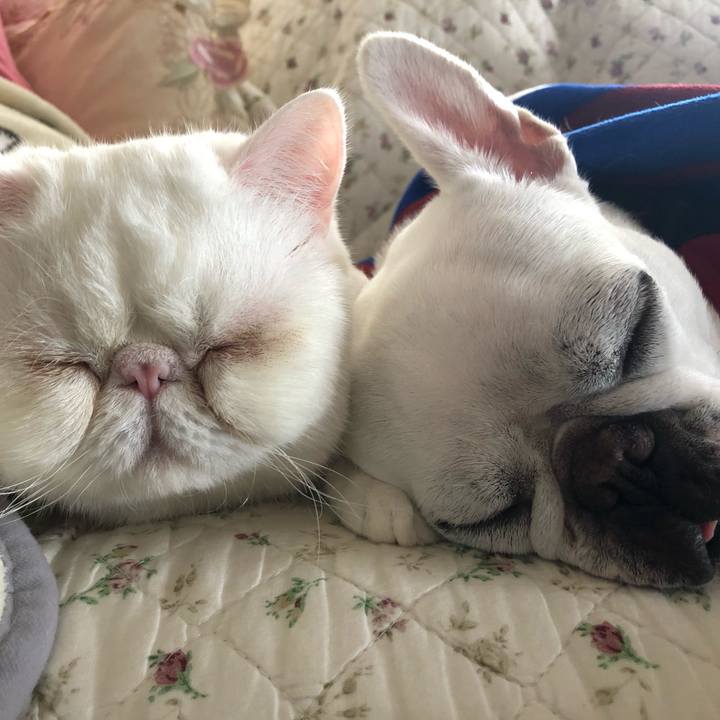 F32273fb 7ab5 419a bc2a 487c7a9beeb5 1603000912470