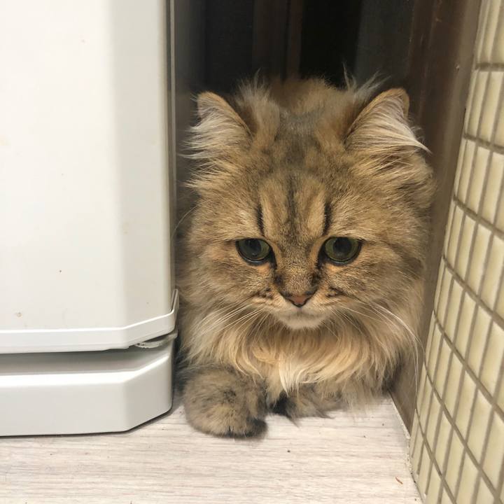 F322a9e2 1760 4e63 91e2 c9111a06f1d6 1570876798931