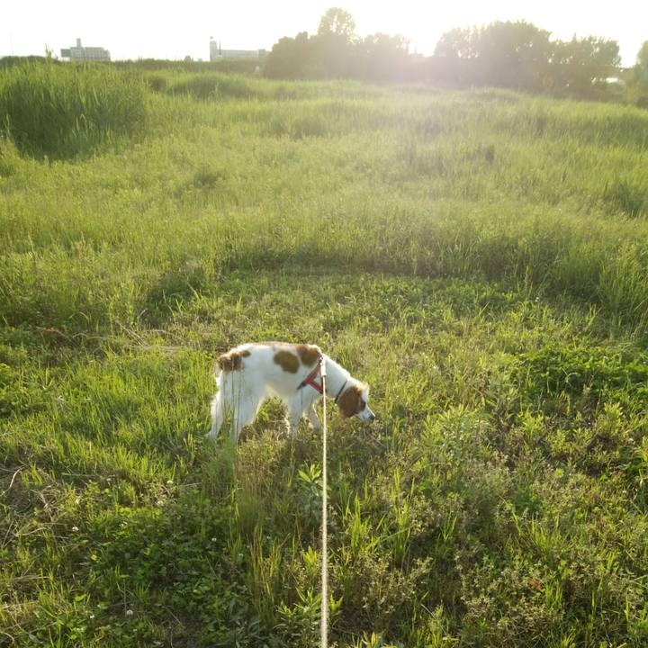 F322cd8c 2ba0 4d29 bb24 c8eae44258d5 1527422353141