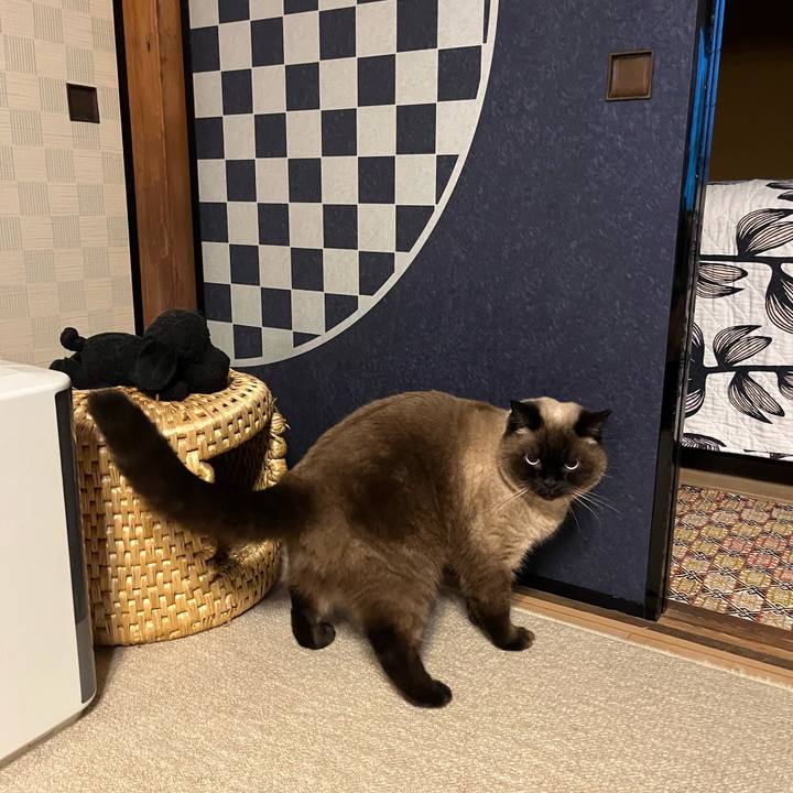 F322f373 47a7 4a5b 8ec0 117eaf859af3 1671326555858