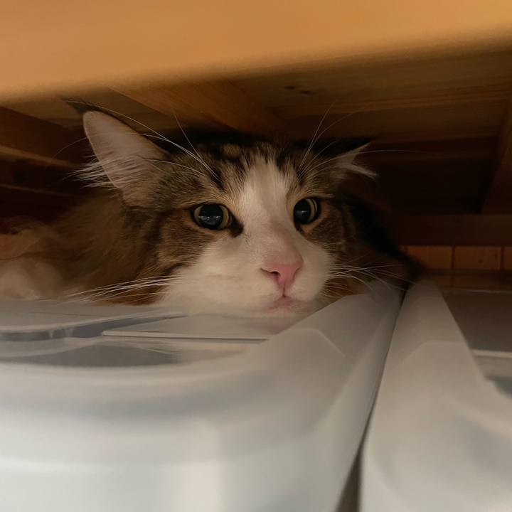 F32315af c4fa 4f60 bc73 feded06d47ac 1682113712087