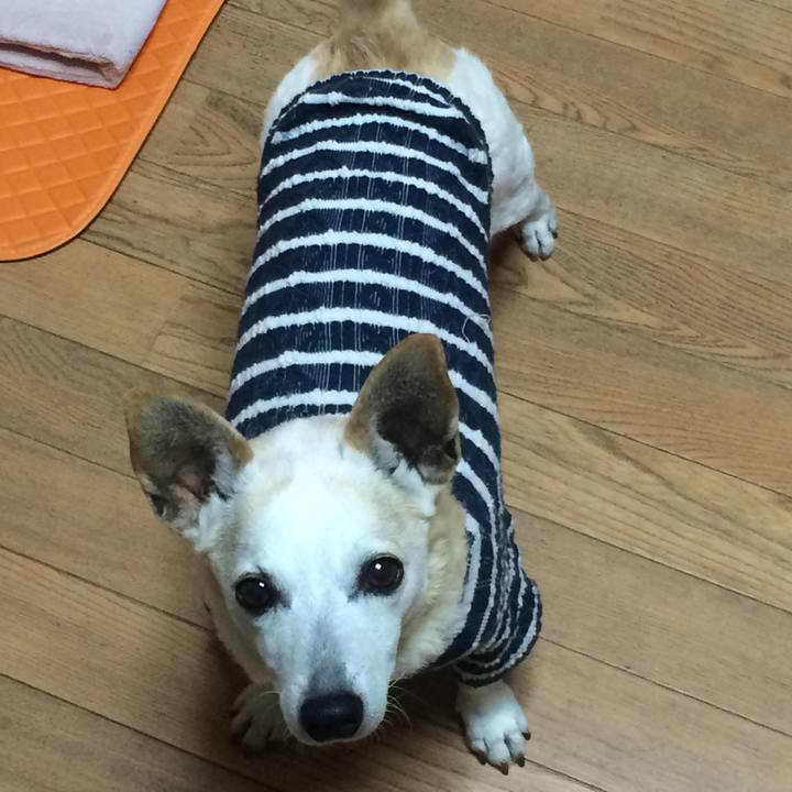 F32320d2 c95d 4ad7 9568 bf38499a042f 1554202400347