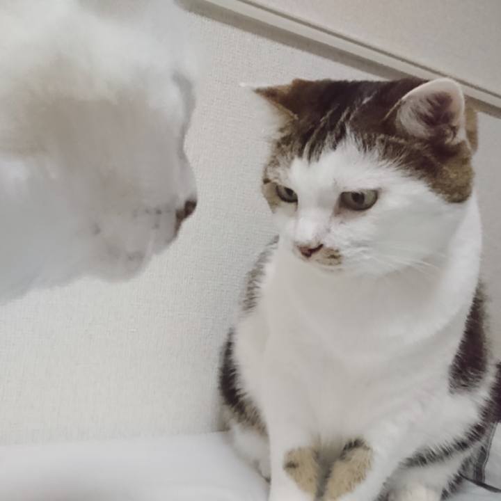 F3236b2a 5be2 4d62 95a6 edefd11fba8c 1566802261106