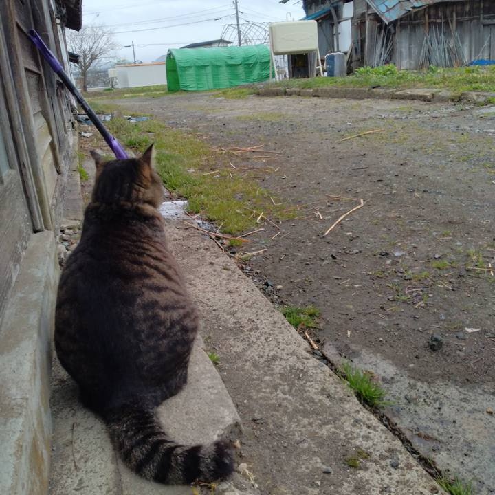 F3237d55 a4d1 4eaf 8345 3b4161240316 1680851581497