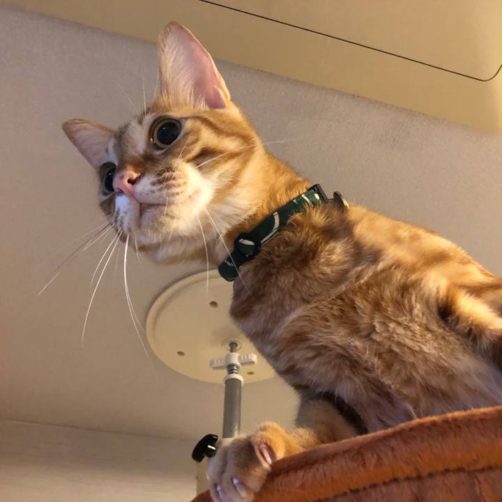 F3237e68 3b46 4143 9a18 87dfd2f93896 1627944830791