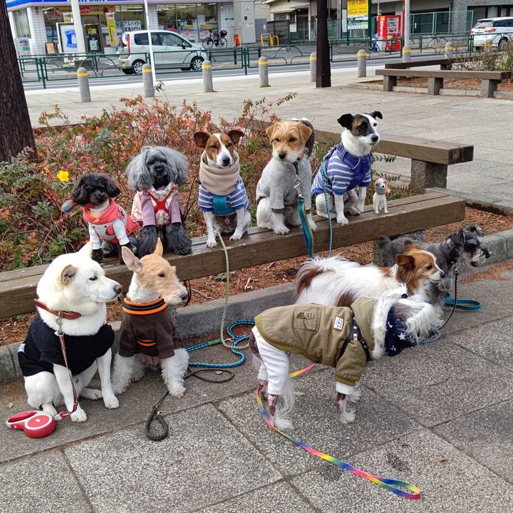 F3238cf3 9c94 413c a71b 1f824b199876 1672461743121