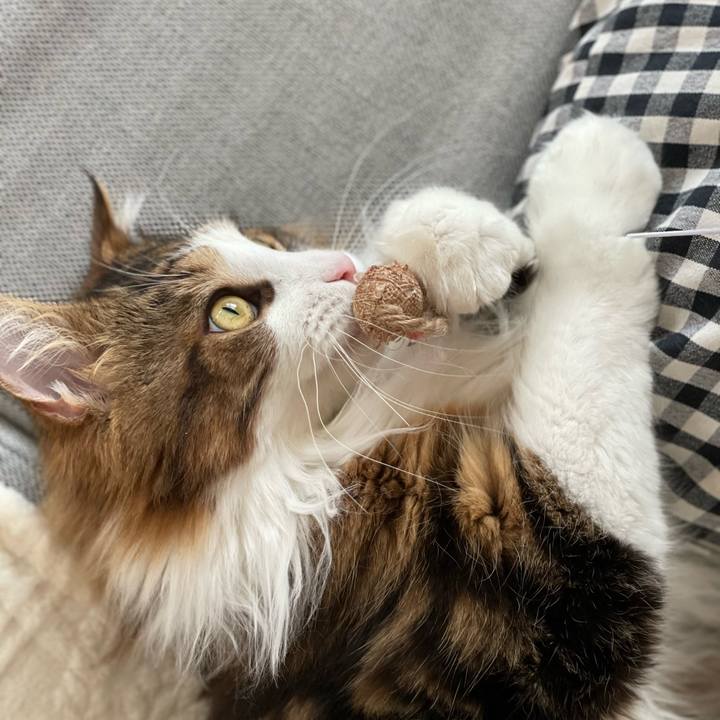 F3239e17 5ffb 491a 934f eb0423d976b2 1650672107188