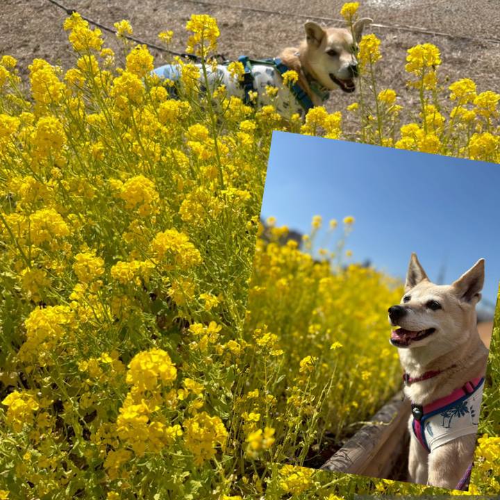 F323e6f2 0611 424f bf46 18aa9ab537ba 1771677346966