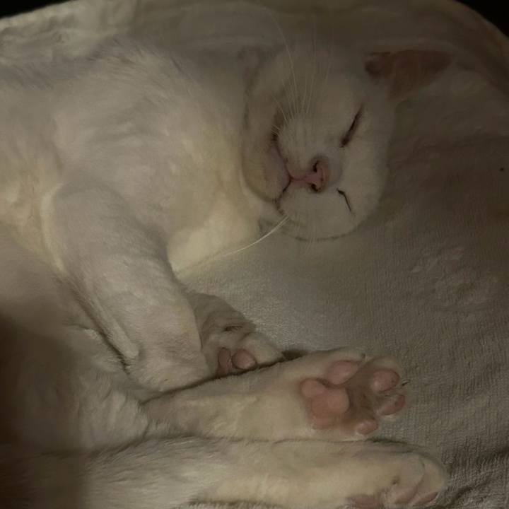 F323fa0c 3b71 4cdd adaf b82f8382960c 1723591838644