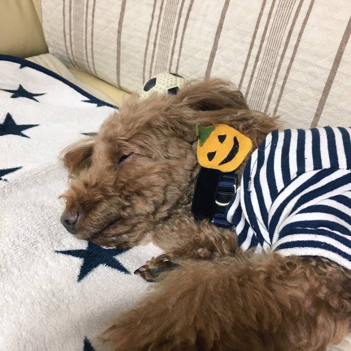 F323feeb 9cec 4ebd a3ca ebf4f49ae12b 1540988424716