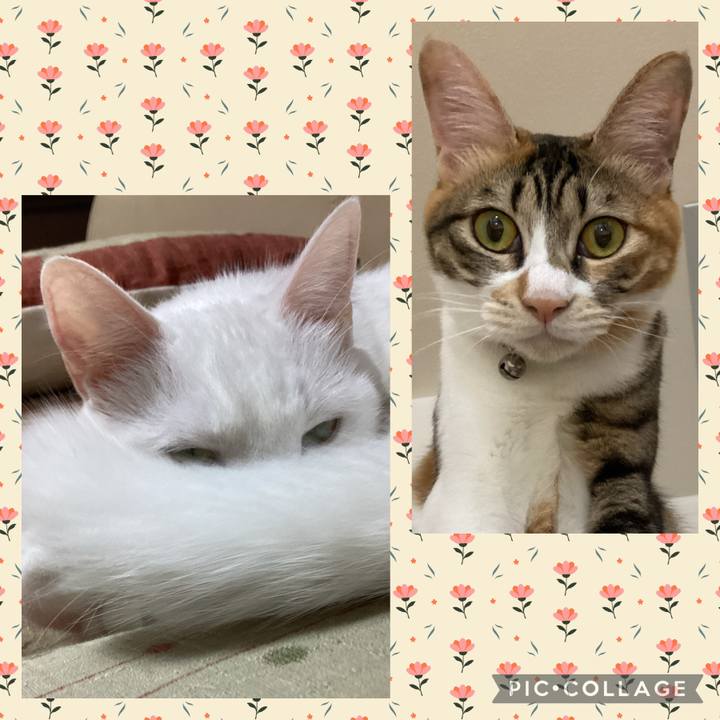 F3241e16 f637 4e6f 9caa d53e7315f0d0 1666079469571