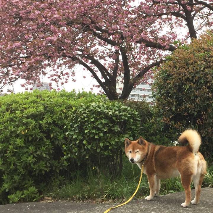 F3243acd 7b16 42f2 a640 f6b99c95bdb7 1555471878671