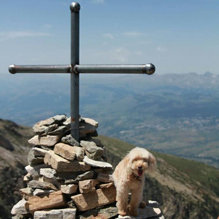 F3243ecb 04a9 4b66 9d7e c3f1b7579b6c 1563308091686