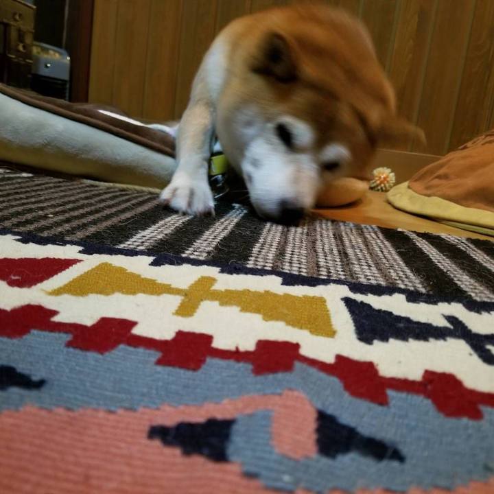 F3247d02 7b91 4803 91b2 6eb025877e74 1573205789671