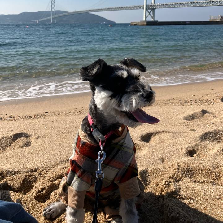 F3248aad 5150 4030 aa0b 68095efe0ef9 1762587605730