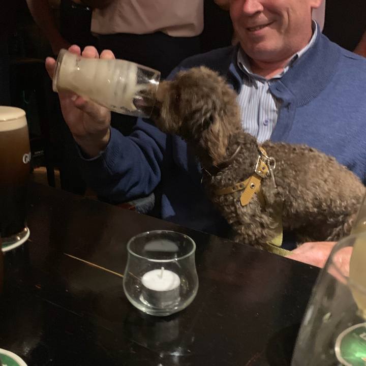 F3248caf 06d6 4ad1 86bf 4b1ae6ce3cfd 1566080993594