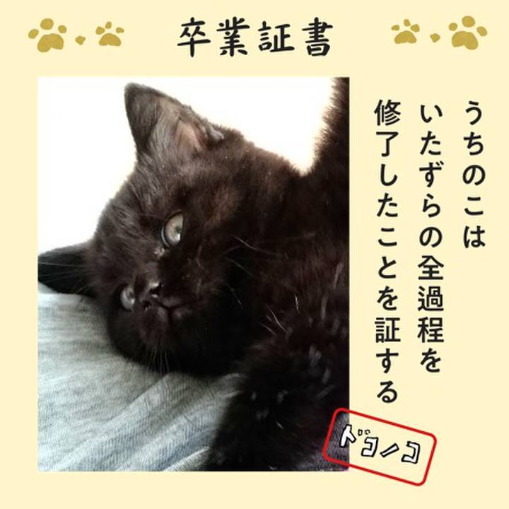 F324bd2c 4772 4dea 9772 11e9e93517f7 1771835358738