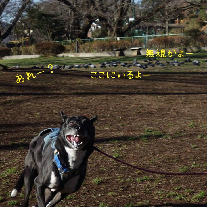 F3250934 bbb8 4318 88a4 b896ffa35fe7 1709947067492