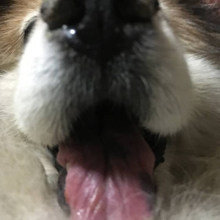 F3251b82 32ea 4e4d 8ae2 883ca4bdf5ad 1586697687493