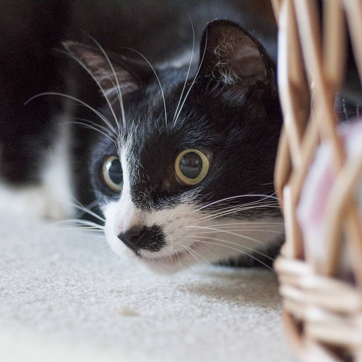 F3252f19 dbfa 41bd 88b6 f63049596727 1531218266783