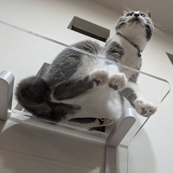 F32536f4 8ea8 4a96 80fb 8a24e04868f7 1751886589513