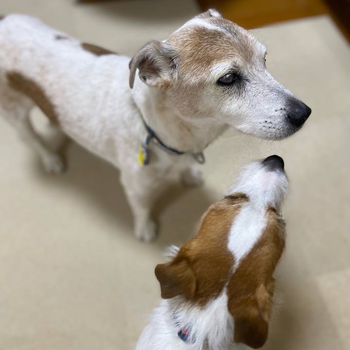 F325549c 37b1 487d a983 06cff5711685 1677846637861