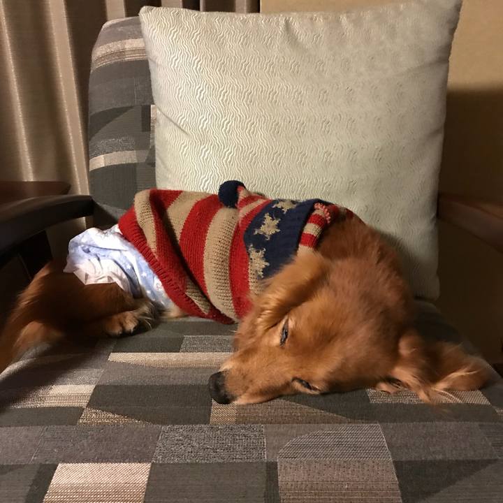 F325602c f7f2 40a2 a87f 8416428ed7eb 1515161744904