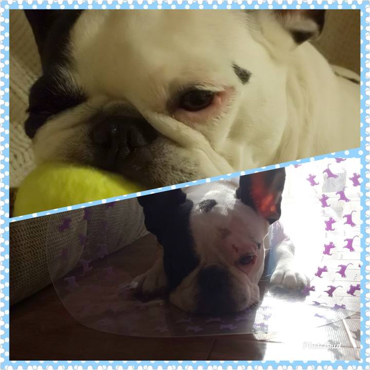 F3257696 5333 4c08 a087 2af392a6b60d 1577697280584