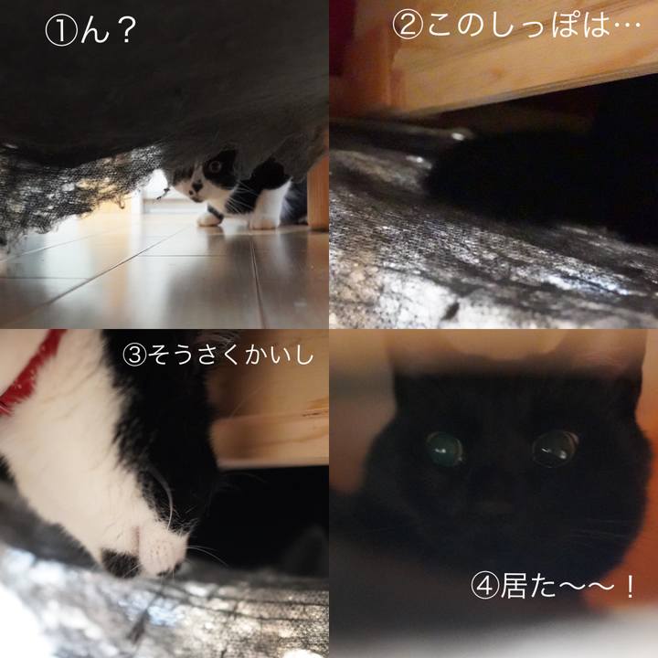 F325818d fc98 4675 a0ec fef29f4284d9 1593057512399