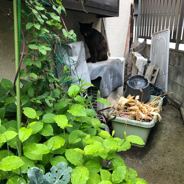 F325a3bb 3007 4717 971f 0f33b712419b 1528383741792