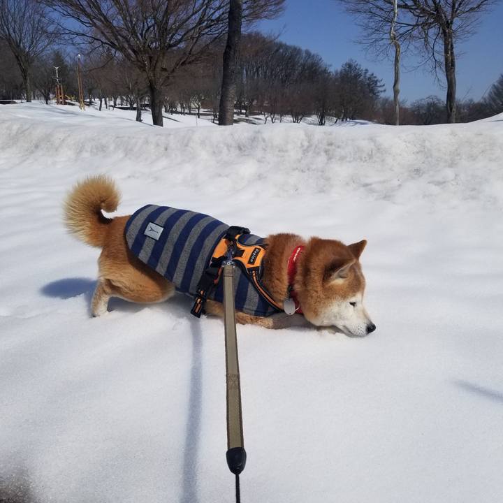 F325ab8c 7b61 43fc 9769 88024639d5ff 1710472478210