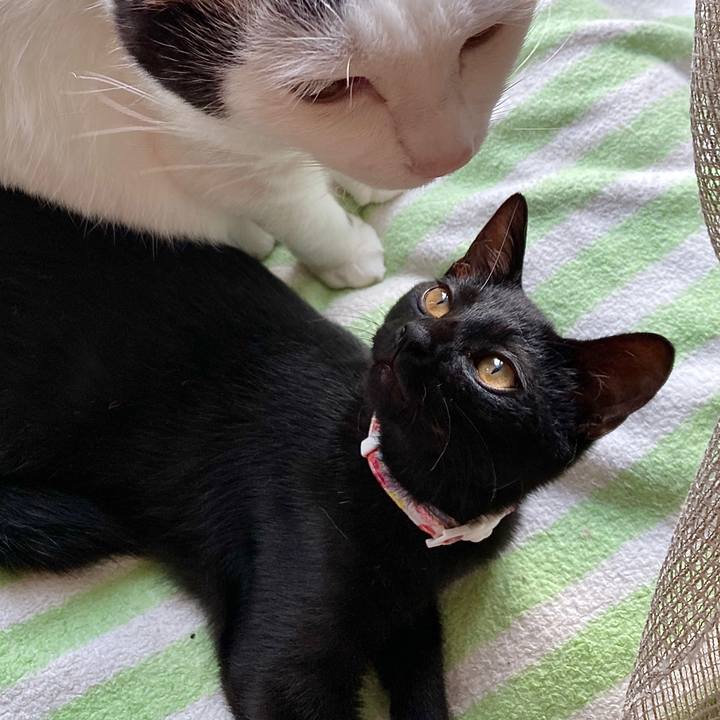 F325e247 e736 48e8 a37e e0849f5e801b 1633319892622