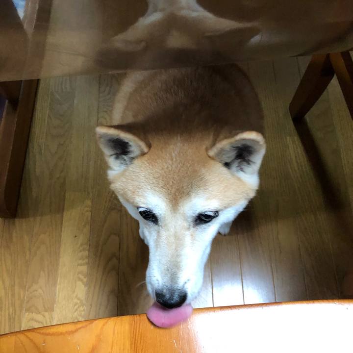 F3260e6f f88e 4ea4 b823 cebd9b8501eb 1601948756163