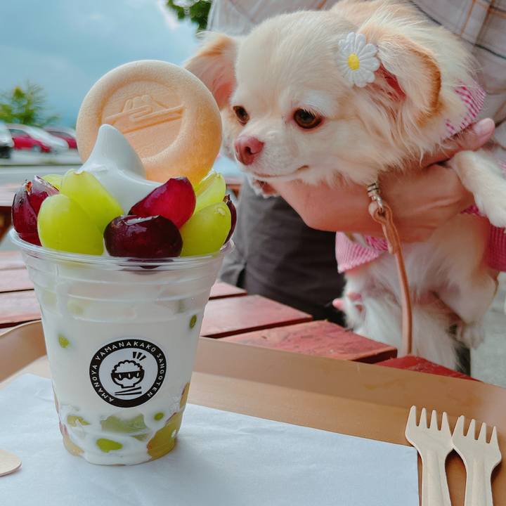 F32640f3 e8e8 49b6 8c19 2b5c83e591e9 1662296898594