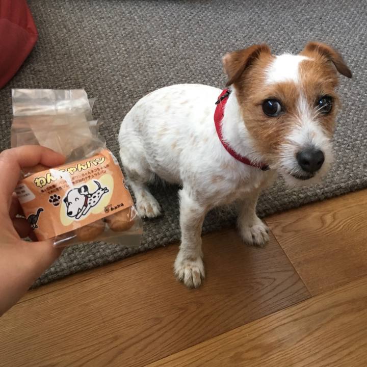 F326b603 00b1 4fd3 af10 83cf796b5fa5 1557566870137