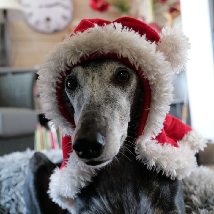 F326c79c b3e9 4836 8b13 64ef03dc5f33 1766698593806