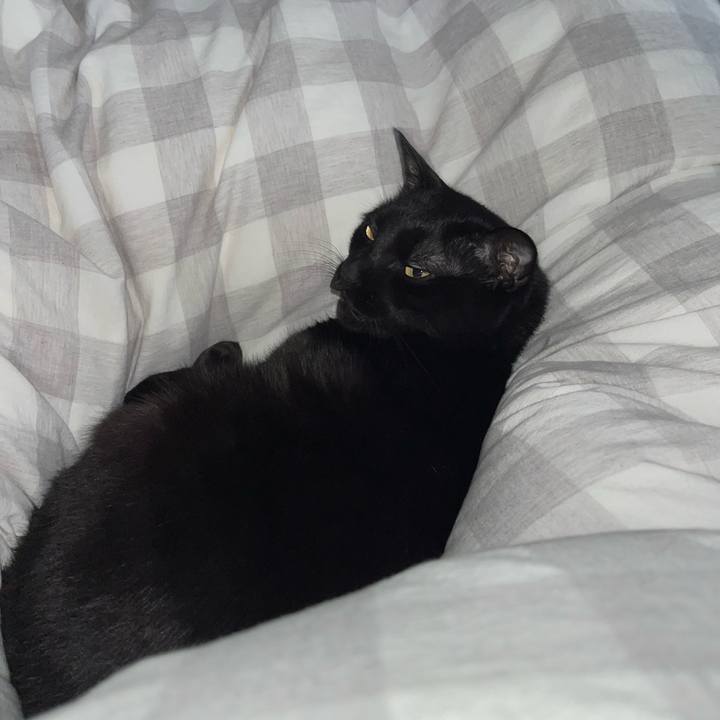 F326e13b 5825 495b a83d 8f8c9db84de6 1732662671105