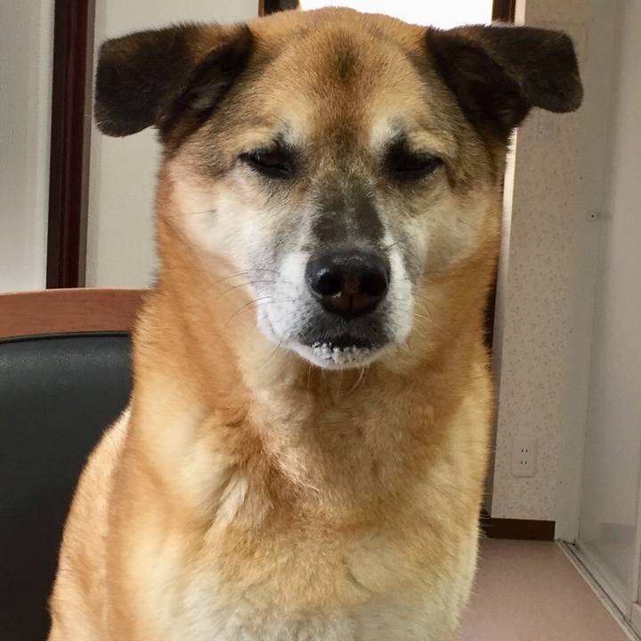 F326f69a b88f 4f7a acaa b9ebe8658224 1558871094434