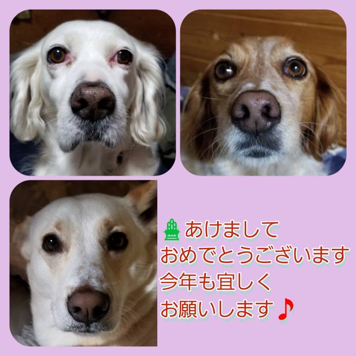 F32705c3 0ba6 4161 bccc 142a28abaaba 1672565637411