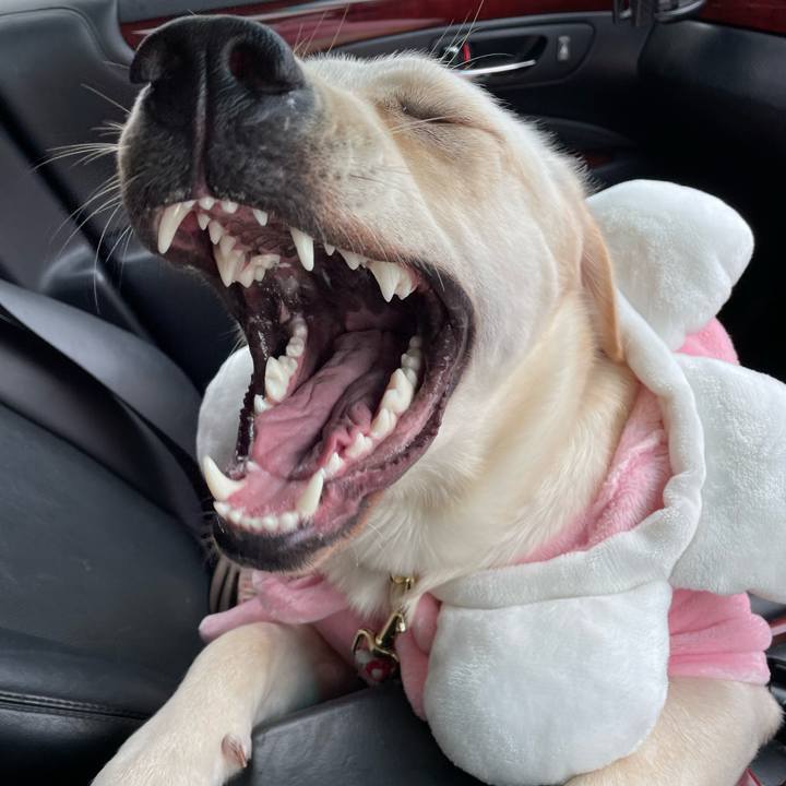 F32721e6 b75e 438f aa1b 72e183203f28 1638242204488