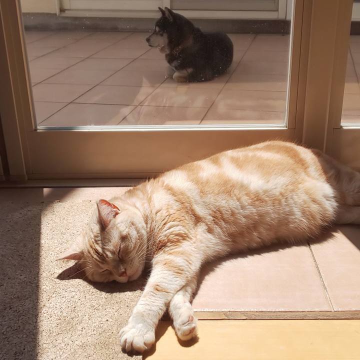 F3273049 cdf6 48c1 b288 d781b6f7b3e1 1557720048608