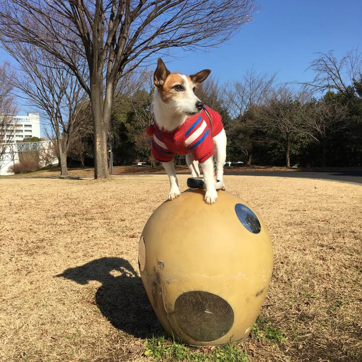 F3276076 26d1 4e81 8572 7ea1e543d9fc 1581209879324