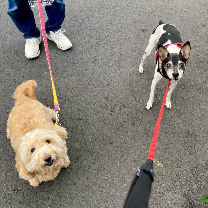 F327642a 1358 4e2f 977a 563ada235523 1631746689013